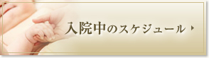 ��㓌�����@��{�Y�w�l�ȓ��@���̃X�P�W���[��