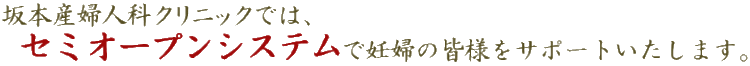 {YwlȃNjbNł́AZ~I[vVXeŔDẘFlT|[g܂B