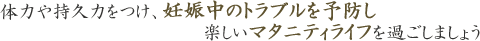 ̗͂⎝v͂ADP̃gu\hy}^jeBCt߂܂傤
